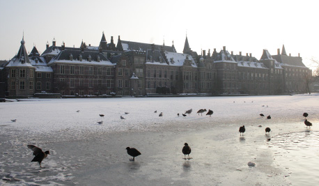 Hofvijver in de winter met vogels op het ijs