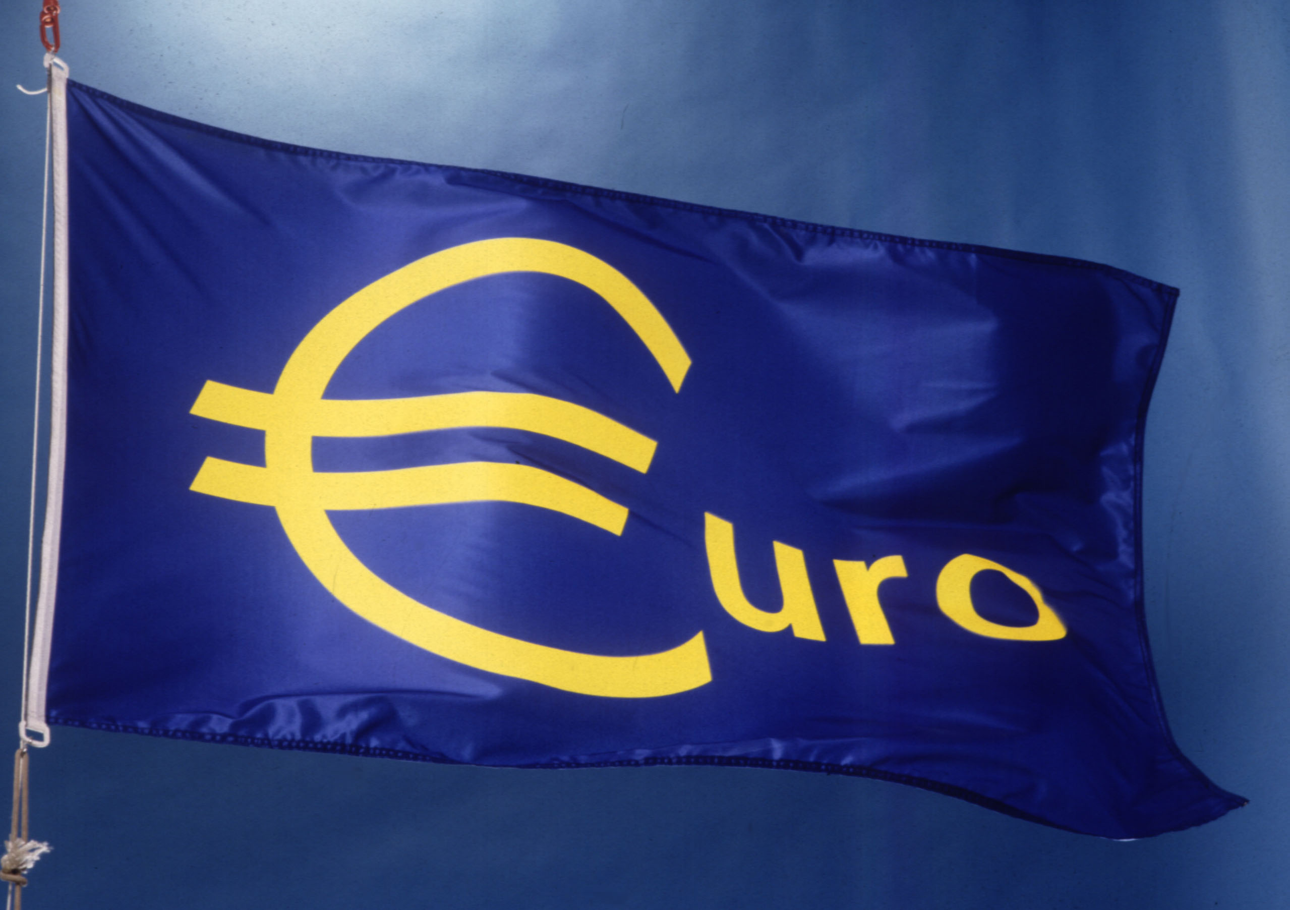 Vlag met 'Euro'