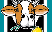 logo Partij van de Dieren