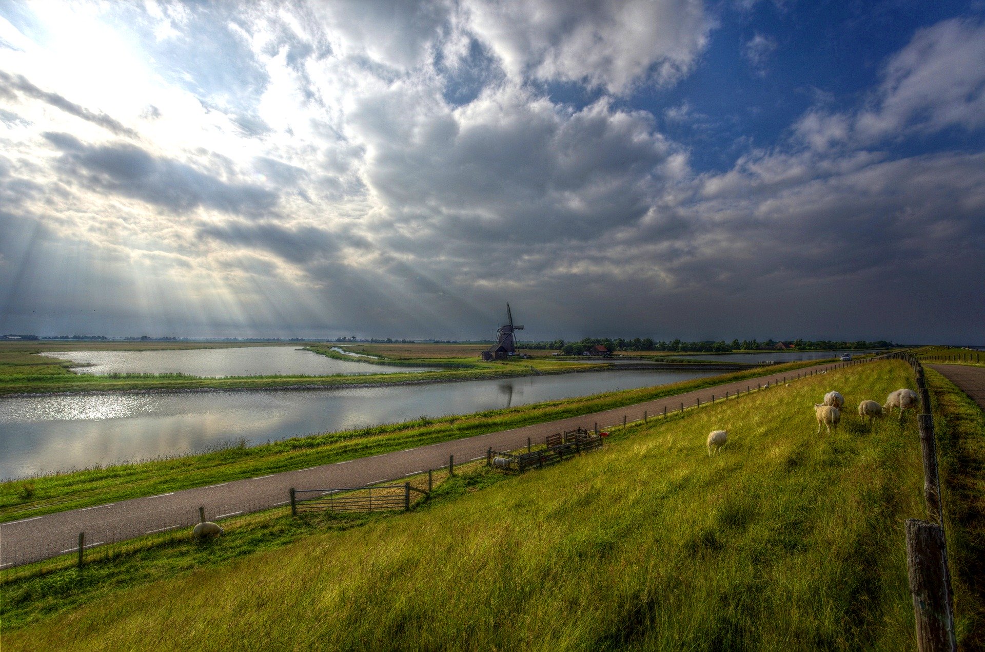 Texel, een windmolen, water en een weide met schaapjes