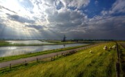 Texel, een windmolen, water en een weide met schaapjes