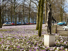 Lange Voorhout en crocussen