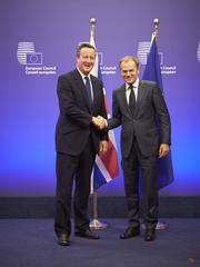 President TUSK meets David CAMERON, Prime Minister of the United Kingdom