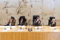 Grondwetdag voor scholieren 2017