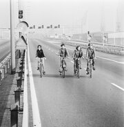 Fietsers op de snelweg